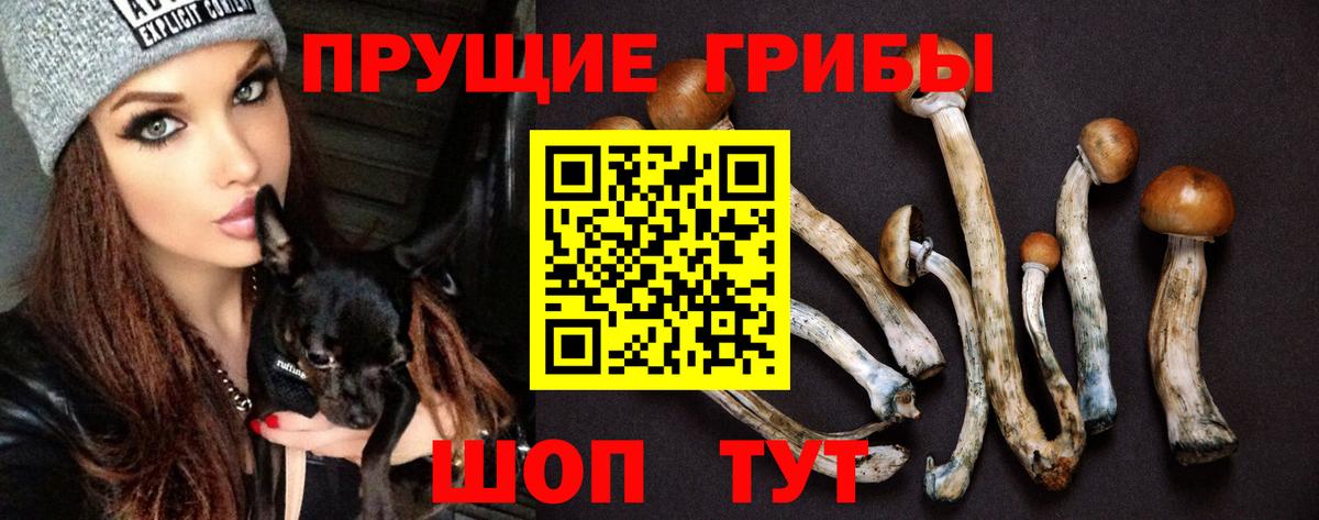 Галлюциногенные грибы GOLDEN TEACHER  Вход с VPN  Псилоцибиновые грибы MAGIC MUSHROOMS  Черемхово 
